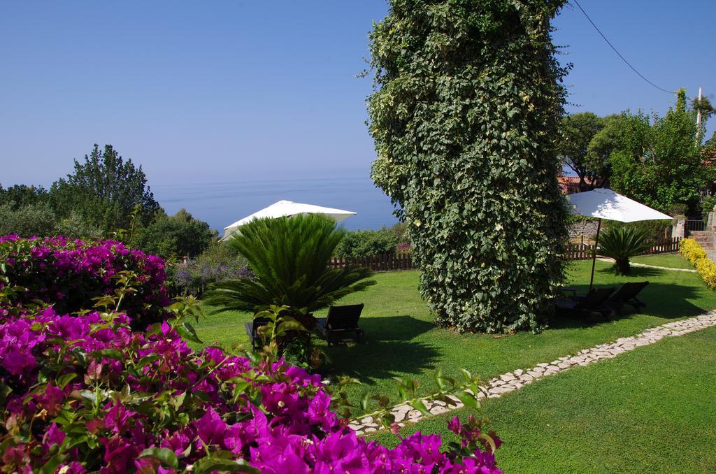 Bed And Breakfast Nefer Maratea Zewnętrze zdjęcie